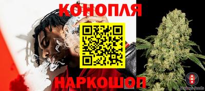 гидра Обь