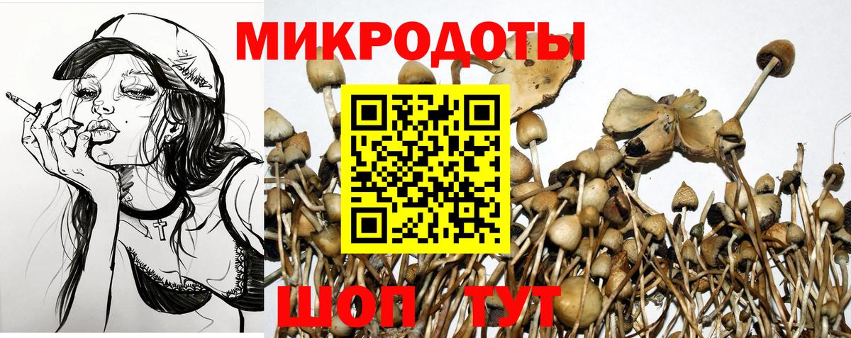 Галлюциногенные грибы Psilocybe  Вход с VPN  Шелехов 